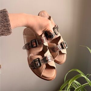 Freebird Neutral Tan Leather Sandals with Snakeskin Buckle Straps
